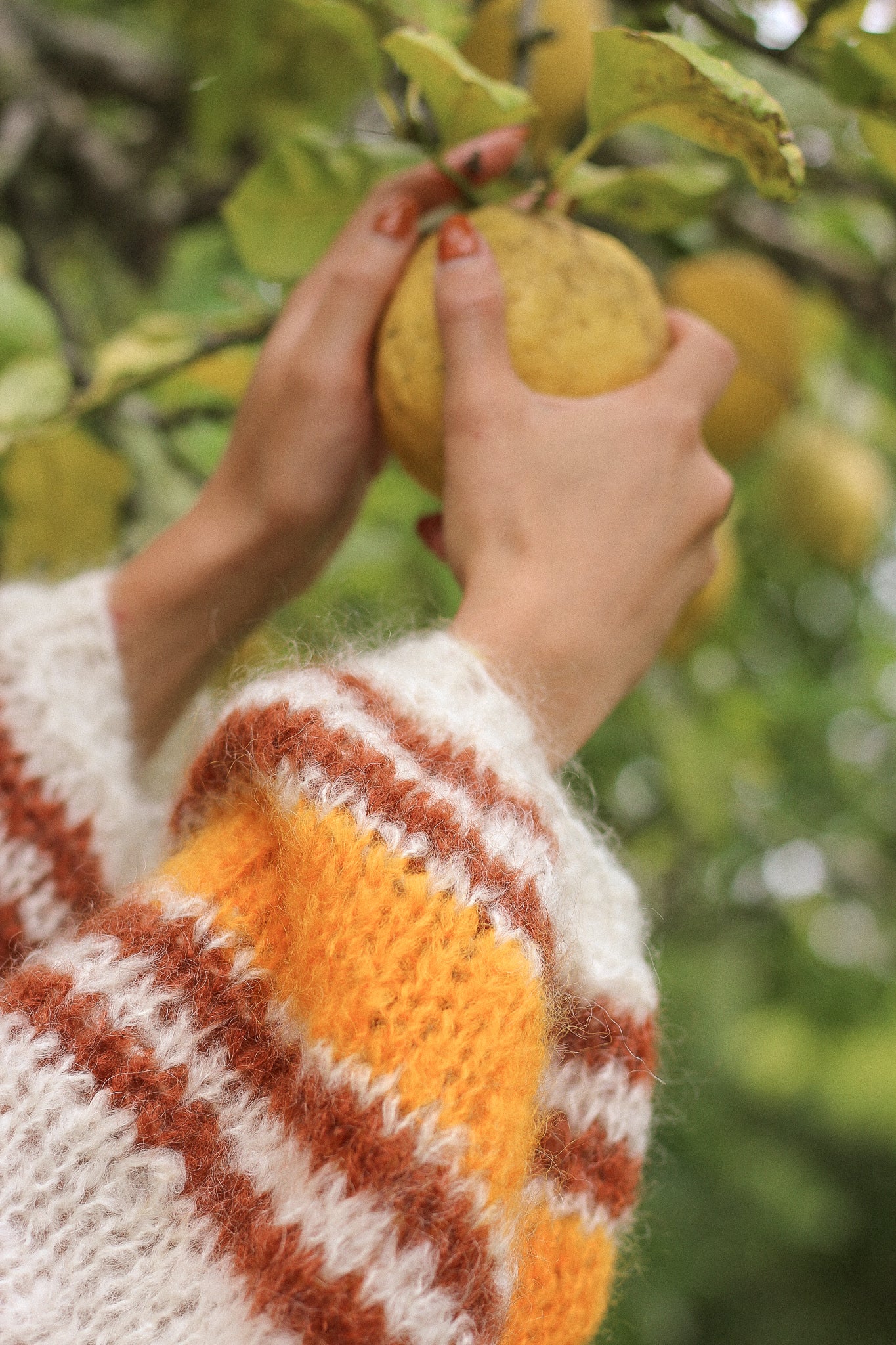 Mohair Tangerine Dream Cardigan